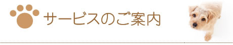 サービスのご案内