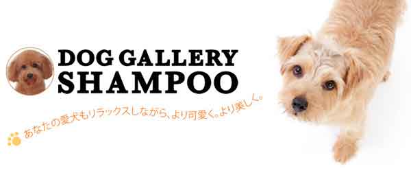 Dog Gallery SHAMPOO
あなたの愛犬もリラックスしながら、より可愛く。より美しく。